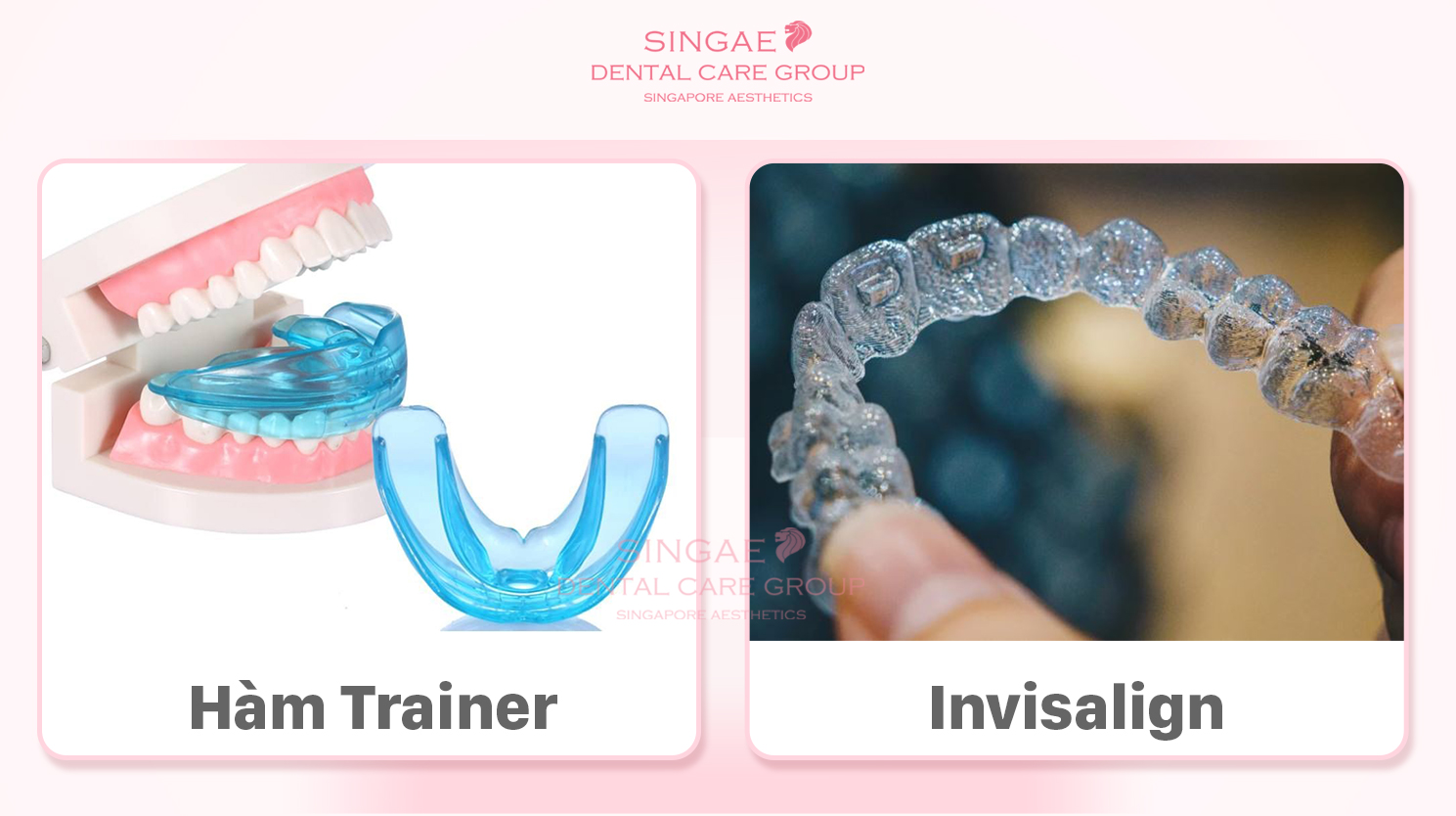 [ WHAT IS BRACES TRAINER ? ] WHEN TO USE AND HOW MUCH?