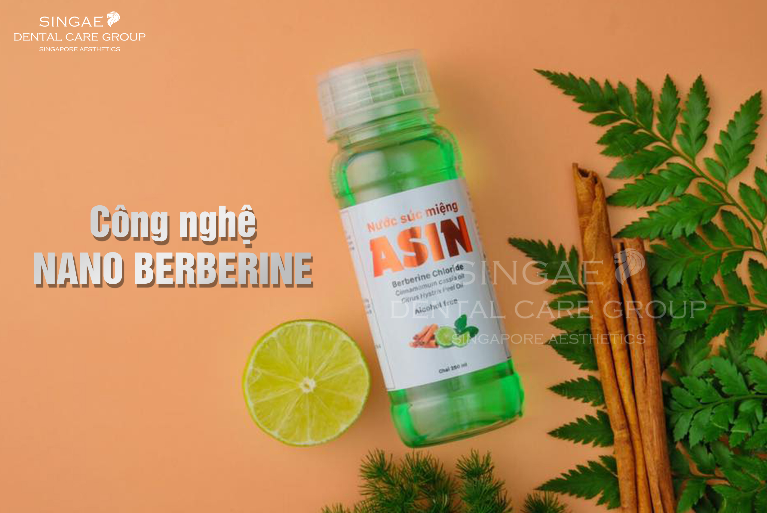 Tìm hiểu nước súc miệng Berberine: Thành phần, Tác dụng, Giá thành