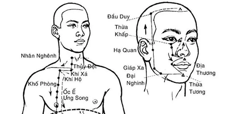 7 Cách bấm huyệt chữa đau răng đơn giản, nhanh chóng 9 Cách bấm huyệt chữa đau răng