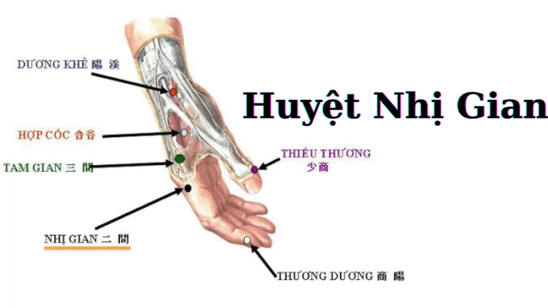 7 Cách bấm huyệt chữa đau răng đơn giản, nhanh chóng 8 Cách bấm huyệt chữa đau răng