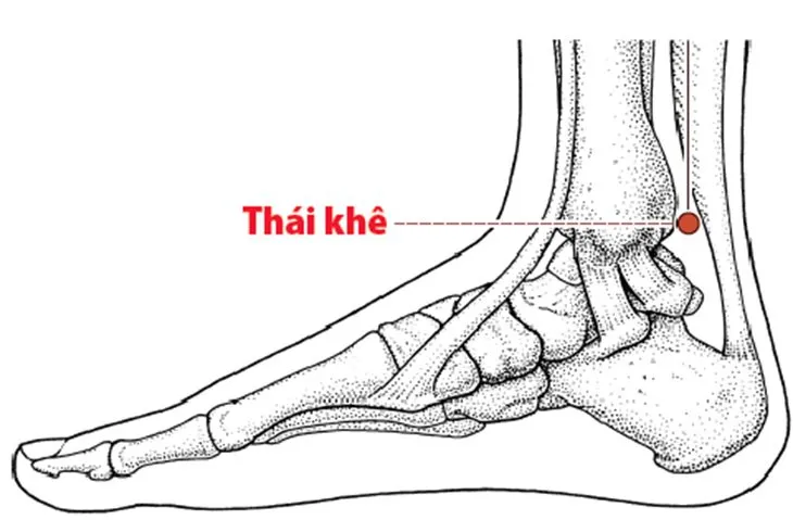 7 Cách bấm huyệt chữa đau răng đơn giản, nhanh chóng 10 bấm huyệt nào chữa đau răng