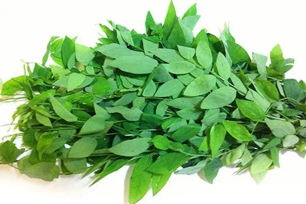 Bị nhiệt miệng nên ăn gì - Rau ngót