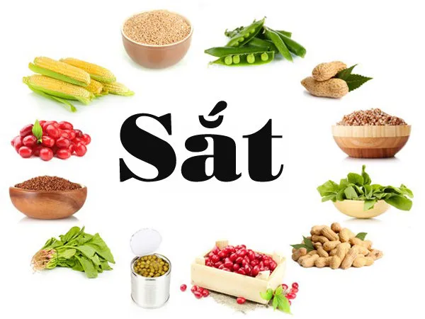 Bị nhiệt miệng nên ăn gì thực phẩm giàu sắt