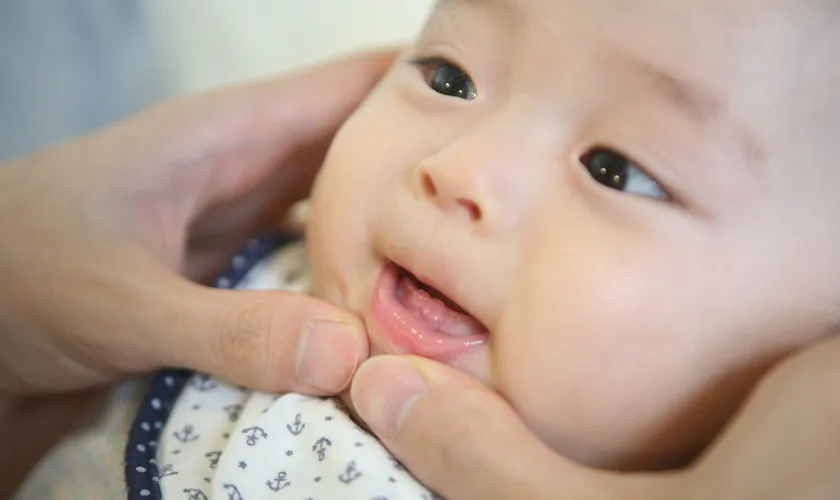 Trẻ mấy tháng mọc răng? Dấu hiệu, cách chăm sóc và lưu ý 5 trẻ mấy tháng mọc răng